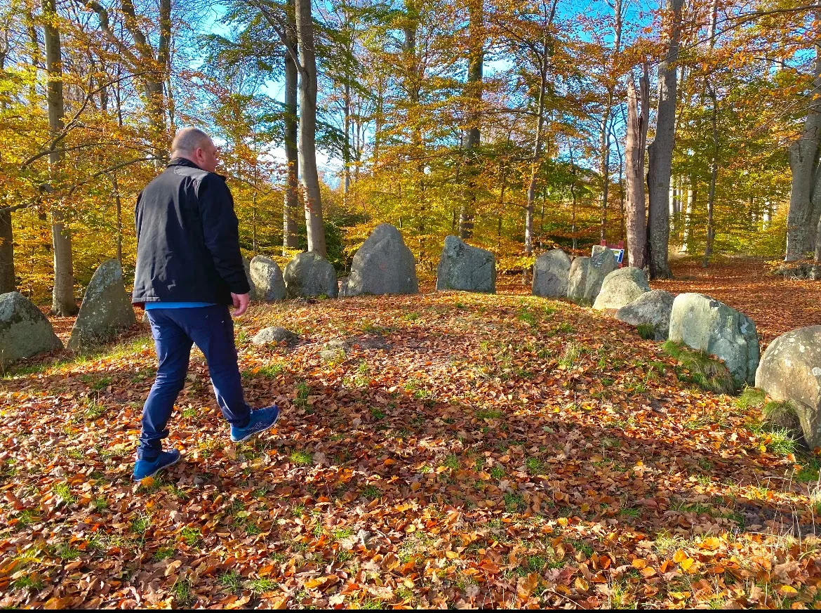 Stendysse og efterårsskov i Odsherred