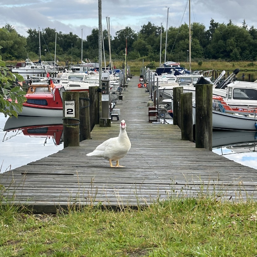Nykøbing Havn - når roen er en del af oplevelsen