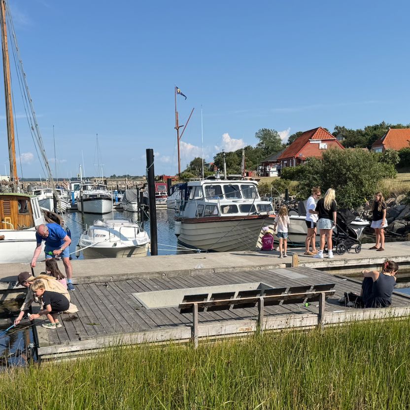 Det slog mig, at Odden minder lidt om Skagen
